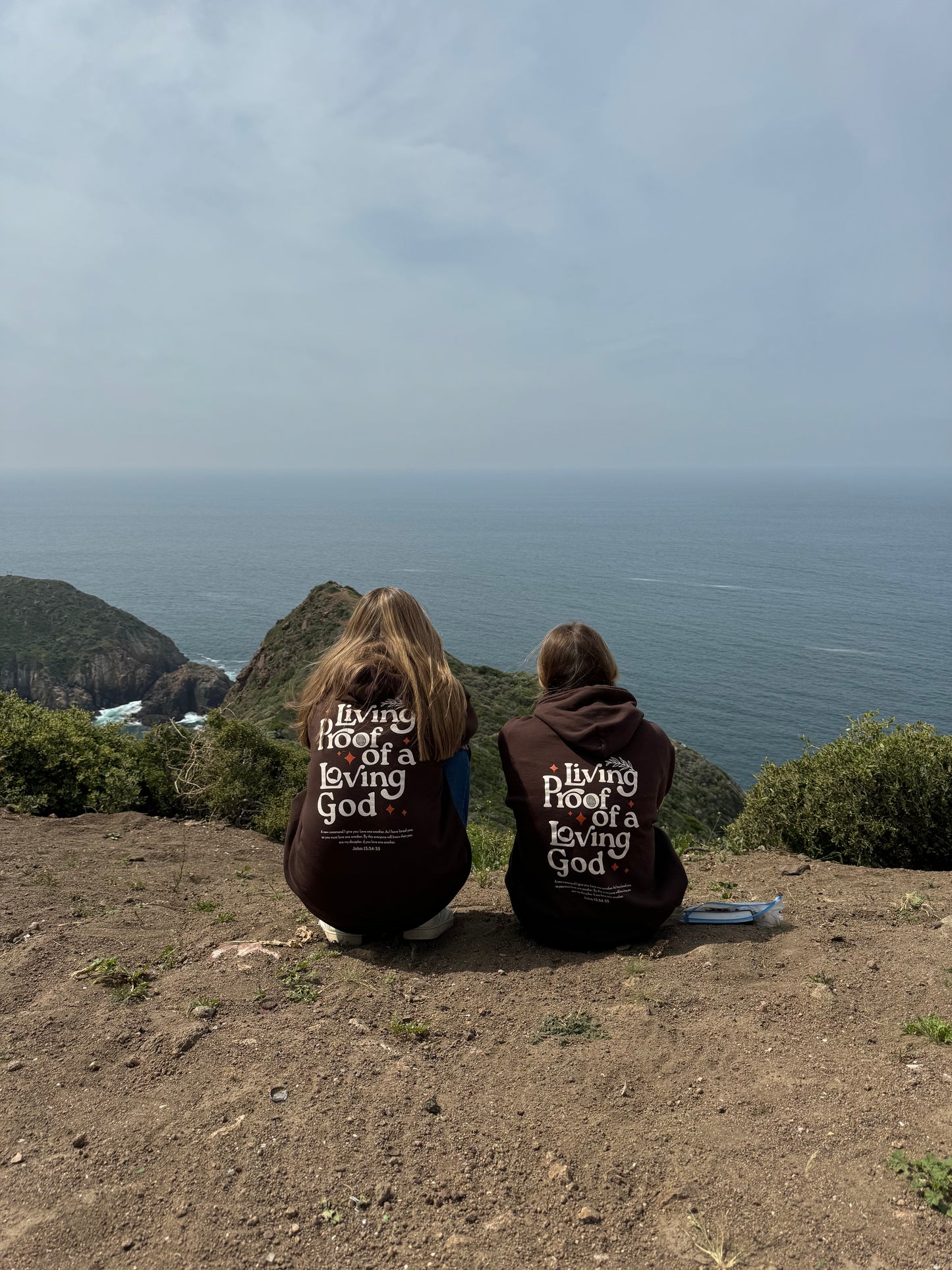 Brown Living Proof Pullover Hoodie